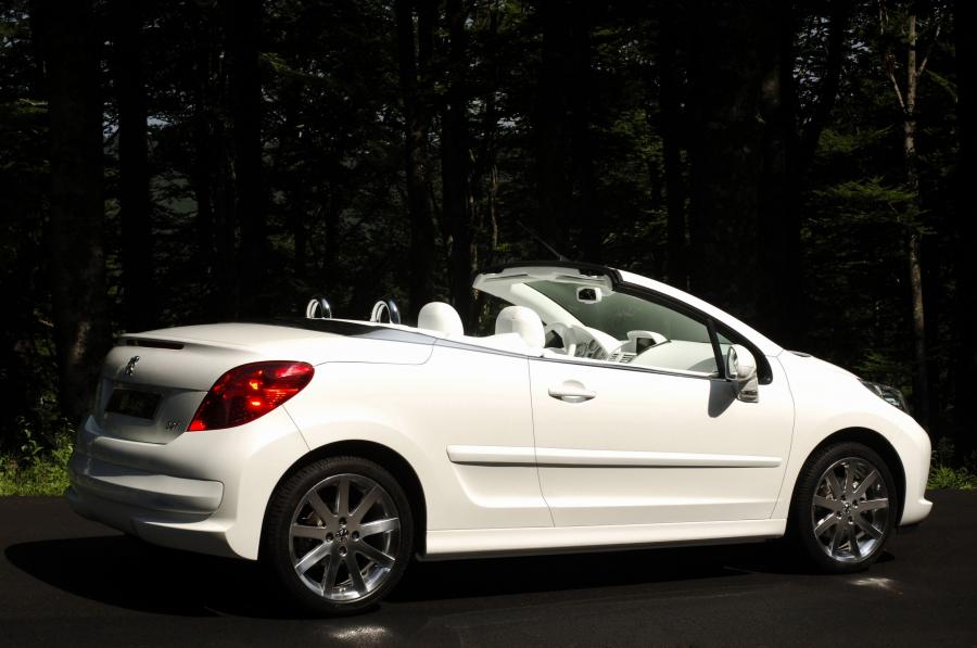  Peugeot 207 Epure 2006 года  (фото 18 из 23)